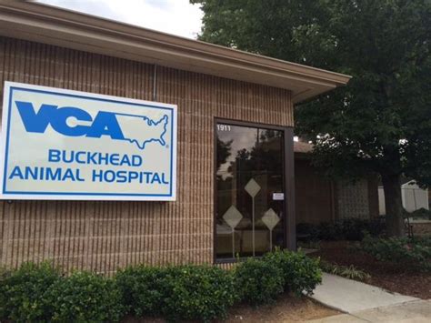 vca buckhead animal hospital|Veterinary Services in Atlanta, GA .